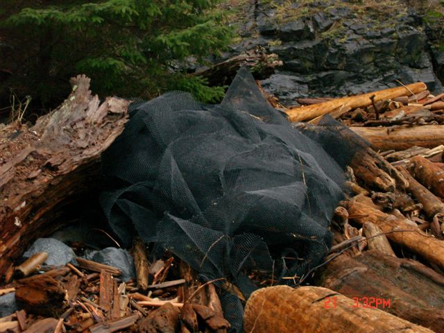 Marine debris, Quadra Island, BC